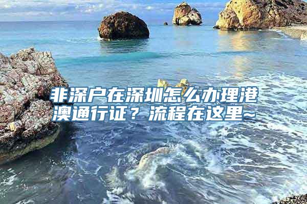 非深户在深圳怎么办理港澳通行证？流程在这里~