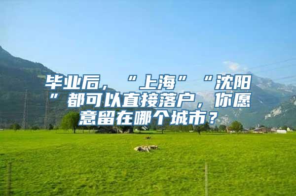 毕业后，“上海”“沈阳”都可以直接落户，你愿意留在哪个城市？