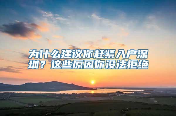 为什么建议你赶紧入户深圳？这些原因你没法拒绝