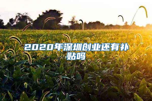 2020年深圳创业还有补贴吗