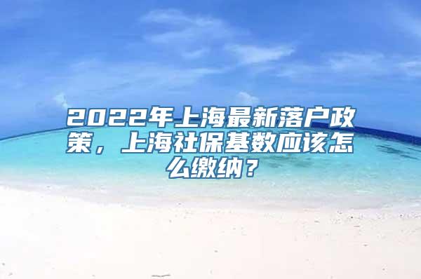 2022年上海最新落户政策，上海社保基数应该怎么缴纳？