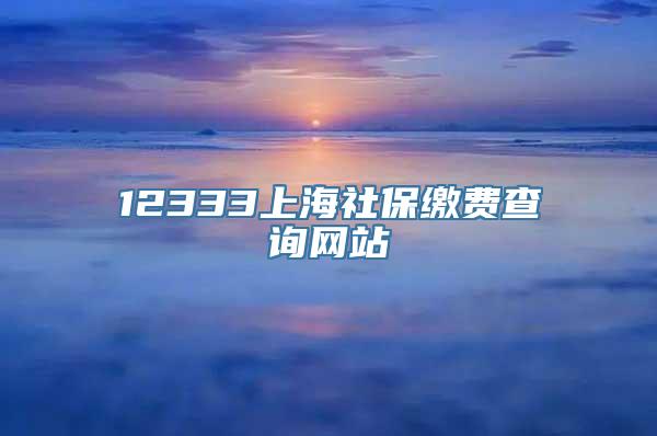 12333上海社保缴费查询网站