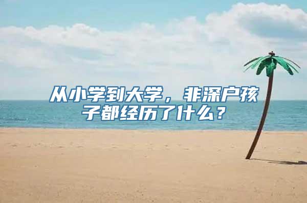 从小学到大学，非深户孩子都经历了什么？