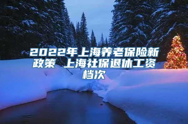 2022年上海养老保险新政策 上海社保退休工资档次