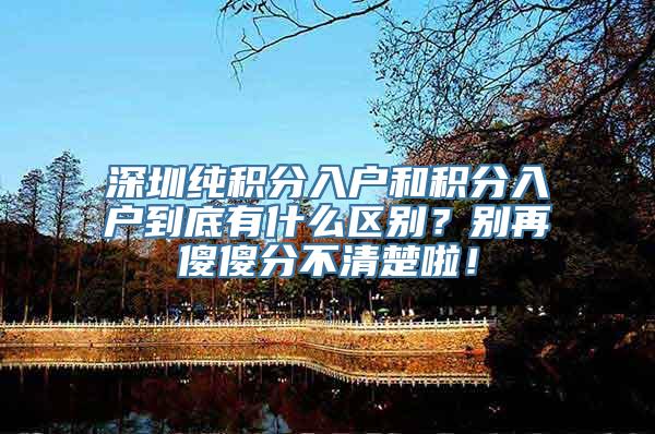 深圳纯积分入户和积分入户到底有什么区别？别再傻傻分不清楚啦！