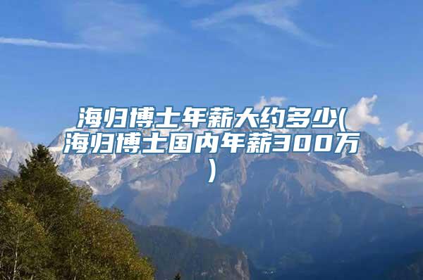 海归博士年薪大约多少(海归博士国内年薪300万)