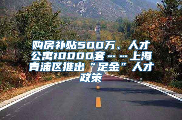 购房补贴500万、人才公寓10000套……上海青浦区推出“足金”人才政策