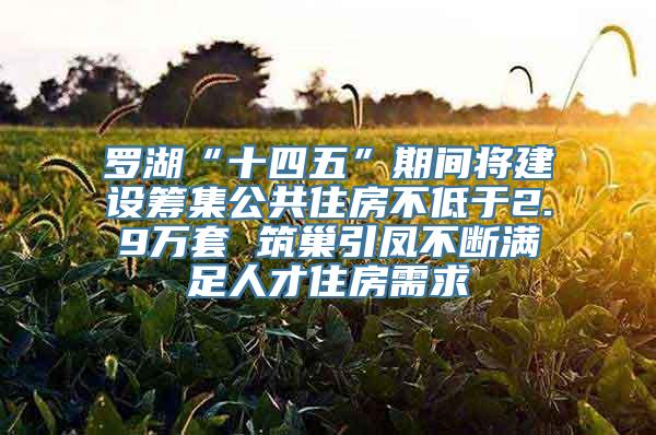 罗湖“十四五”期间将建设筹集公共住房不低于2.9万套 筑巢引凤不断满足人才住房需求