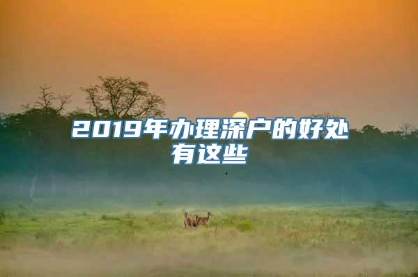 2019年办理深户的好处有这些