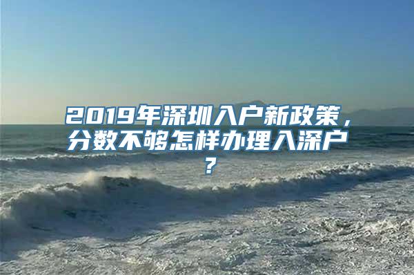 2019年深圳入户新政策，分数不够怎样办理入深户？