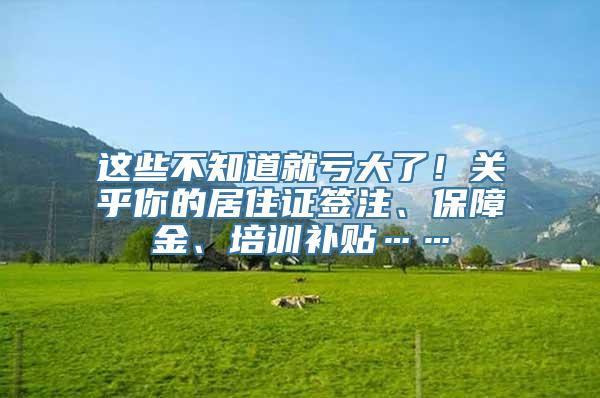 这些不知道就亏大了！关乎你的居住证签注、保障金、培训补贴……