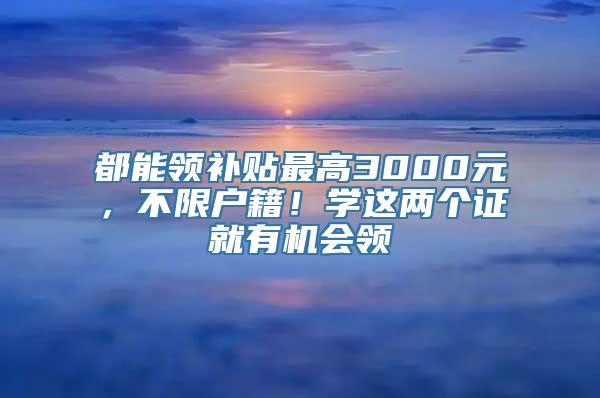 都能领补贴最高3000元，不限户籍！学这两个证就有机会领