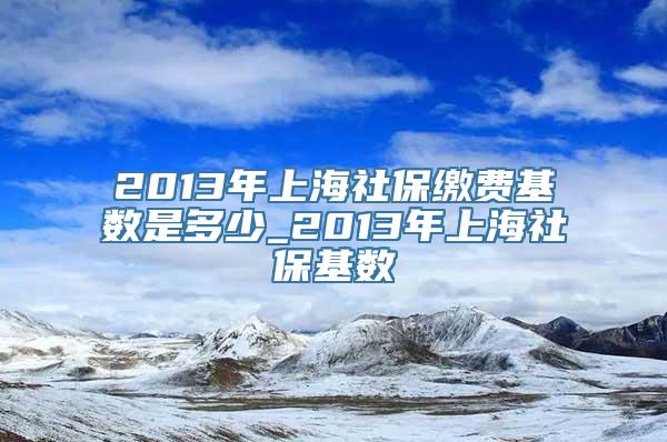 2013年上海社保缴费基数是多少_2013年上海社保基数