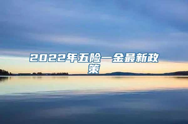 2022年五险一金最新政策