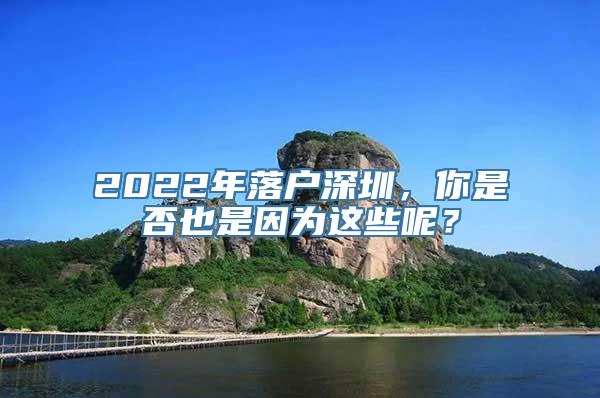 2022年落户深圳，你是否也是因为这些呢？