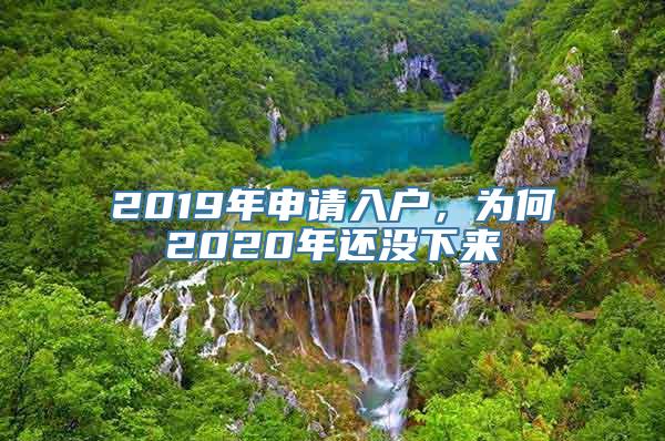 2019年申请入户，为何2020年还没下来