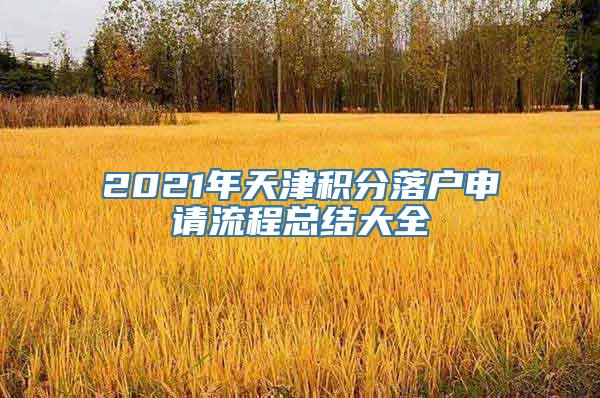 2021年天津积分落户申请流程总结大全