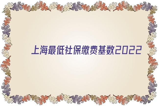 上海最低社保缴费基数2022