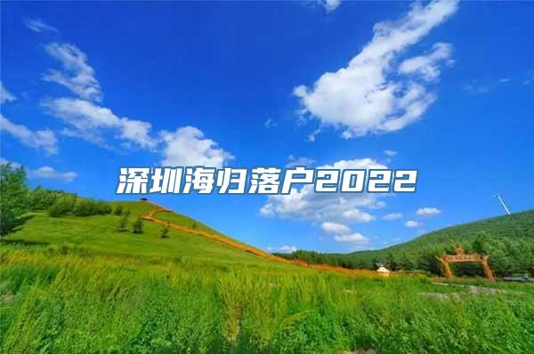 深圳海归落户2022