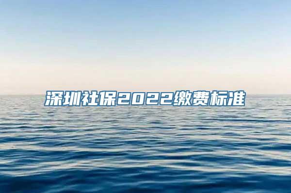 深圳社保2022缴费标准