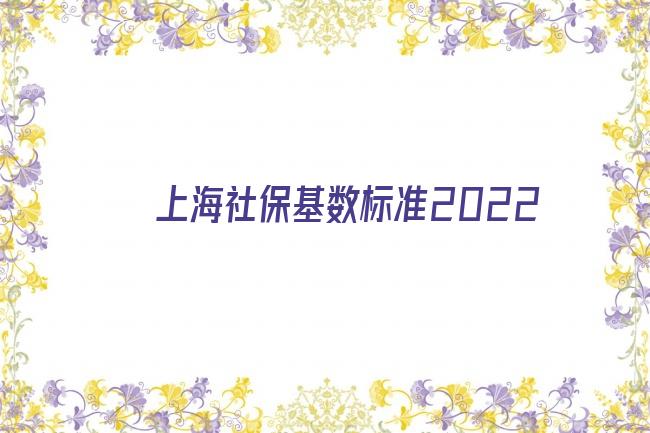 上海社保基数标准2022