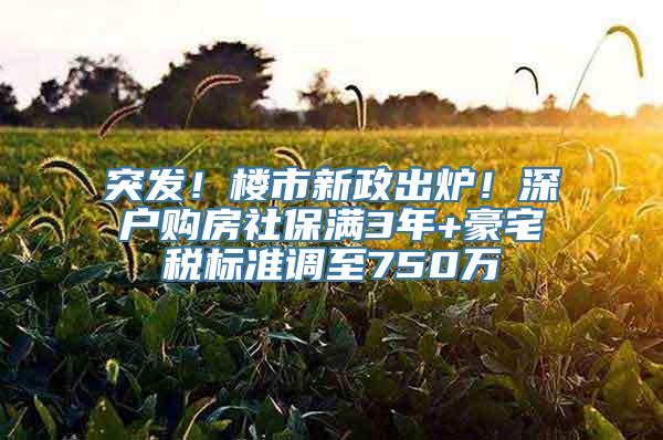 突发！楼市新政出炉！深户购房社保满3年+豪宅税标准调至750万