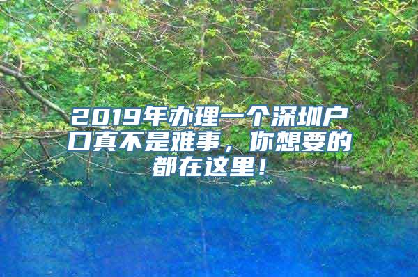 2019年办理一个深圳户口真不是难事，你想要的都在这里！