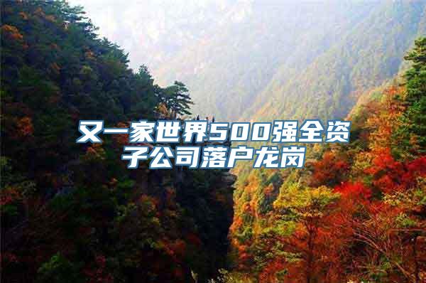 又一家世界500强全资子公司落户龙岗