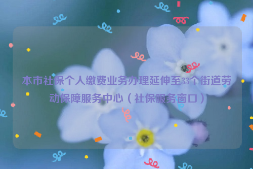 本市社保个人缴费业务办理延伸至33个街道劳动保障服务中心（社保服务窗口）