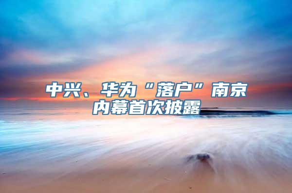 中兴、华为“落户”南京内幕首次披露