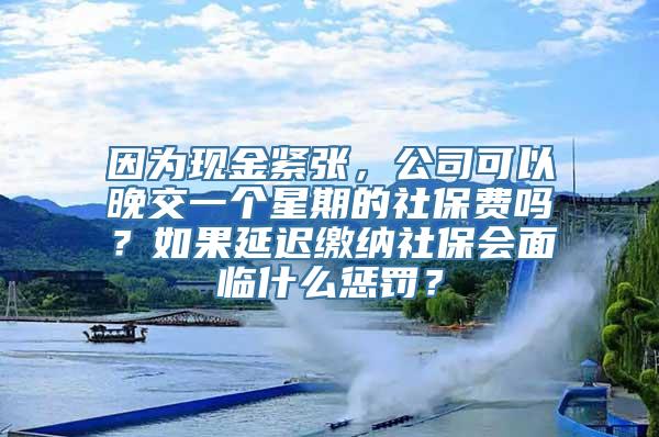 因为现金紧张，公司可以晚交一个星期的社保费吗？如果延迟缴纳社保会面临什么惩罚？