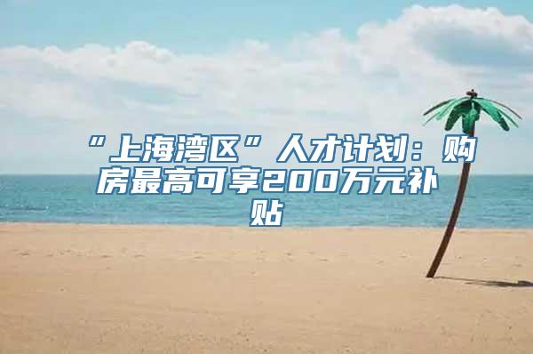 “上海湾区”人才计划：购房最高可享200万元补贴