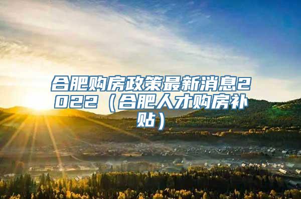 合肥购房政策最新消息2022（合肥人才购房补贴）