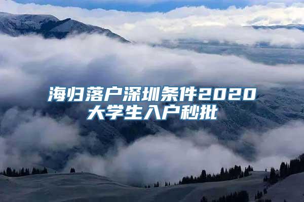 海归落户深圳条件2020大学生入户秒批