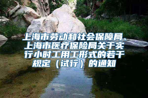 上海市劳动和社会保障局、上海市医疗保险局关于实行小时工用工形式的若干规定（试行）的通知