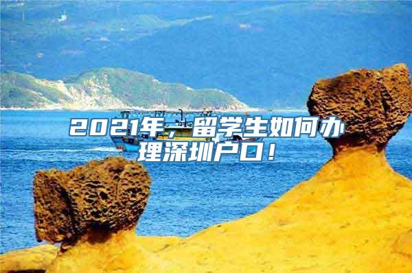 2021年，留学生如何办理深圳户口！