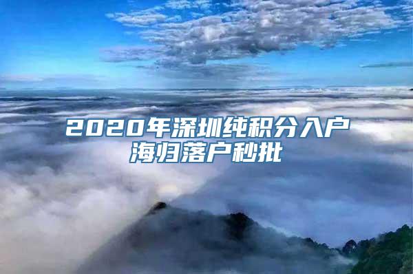 2020年深圳纯积分入户海归落户秒批