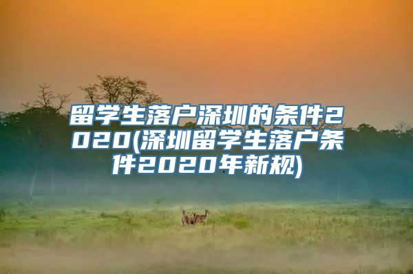 留学生落户深圳的条件2020(深圳留学生落户条件2020年新规)