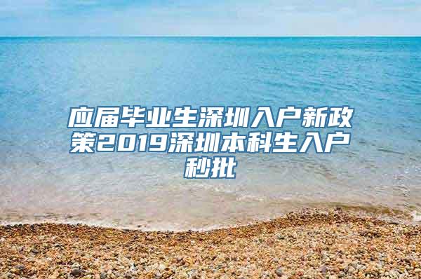 应届毕业生深圳入户新政策2019深圳本科生入户秒批