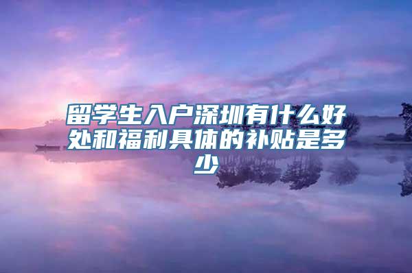 留学生入户深圳有什么好处和福利具体的补贴是多少