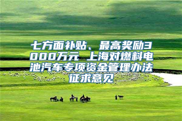 七方面补贴、最高奖励3000万元 上海对燃料电池汽车专项资金管理办法征求意见