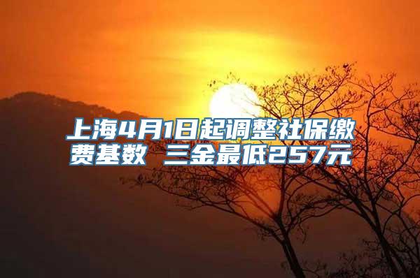 上海4月1日起调整社保缴费基数 三金最低257元