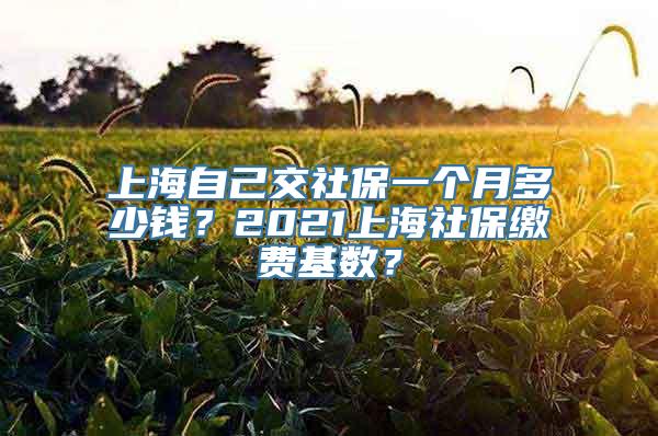 上海自己交社保一个月多少钱？2021上海社保缴费基数？