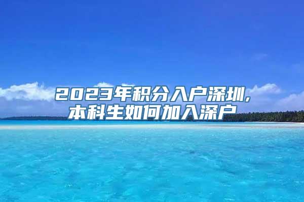 2023年积分入户深圳,本科生如何加入深户