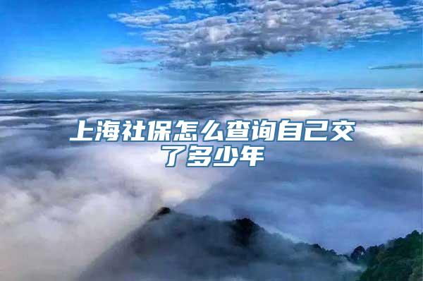 上海社保怎么查询自己交了多少年