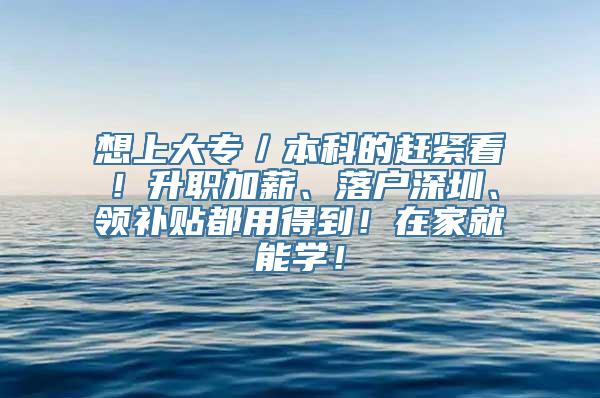 想上大专／本科的赶紧看！升职加薪、落户深圳、领补贴都用得到！在家就能学！