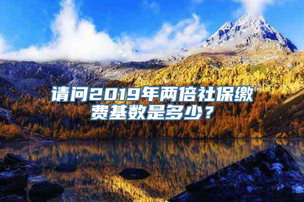 请问2019年两倍社保缴费基数是多少？