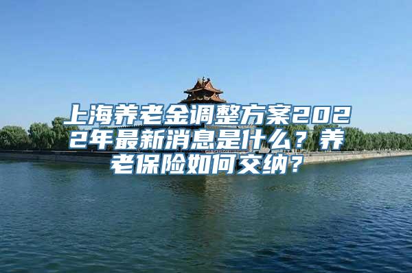 上海养老金调整方案2022年最新消息是什么？养老保险如何交纳？