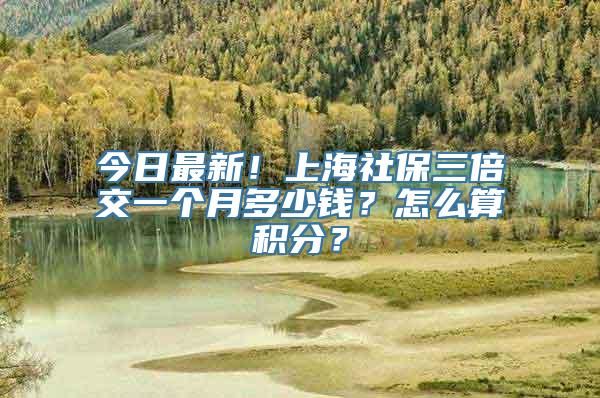 今日最新！上海社保三倍交一个月多少钱？怎么算积分？