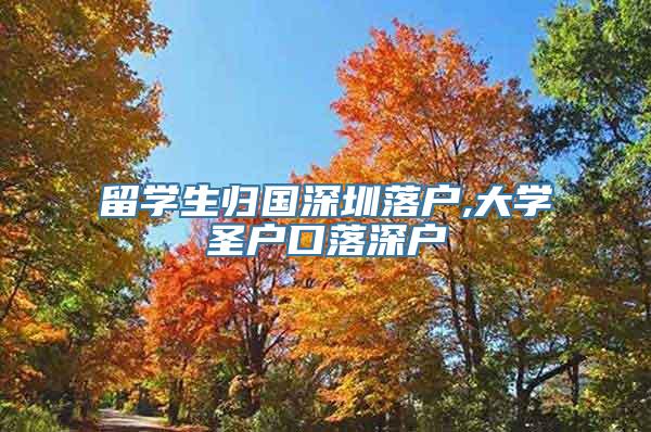 留学生归国深圳落户,大学圣户口落深户